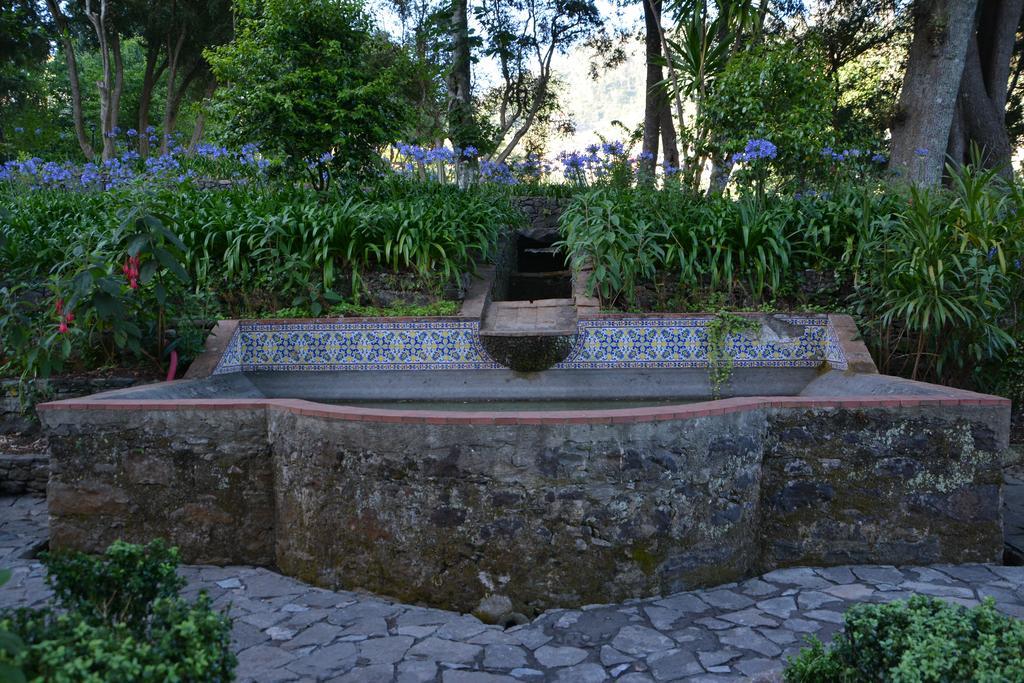 Bio Hotel - Hotel Quinta Da Serra Câmara de Lobos Dış mekan fotoğraf