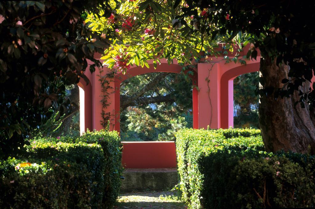 Bio Hotel - Hotel Quinta Da Serra Câmara de Lobos Dış mekan fotoğraf