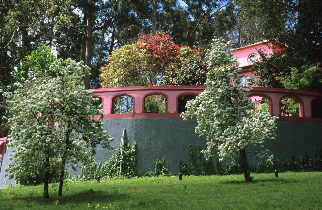 Bio Hotel - Hotel Quinta Da Serra Câmara de Lobos Dış mekan fotoğraf